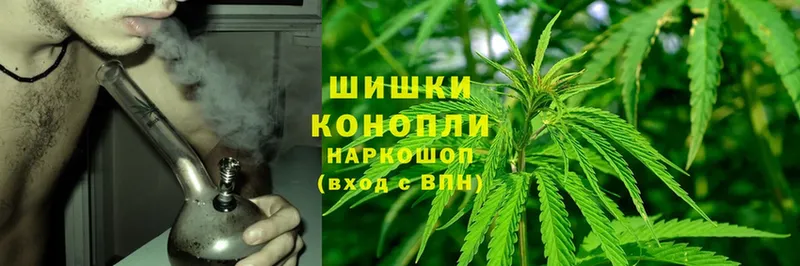 Бошки Шишки SATIVA & INDICA  Пермь 